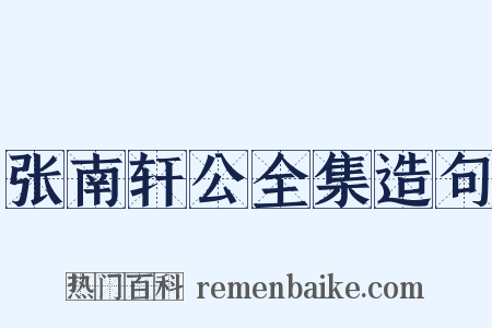 张南轩公全集造句是什么意思的图片